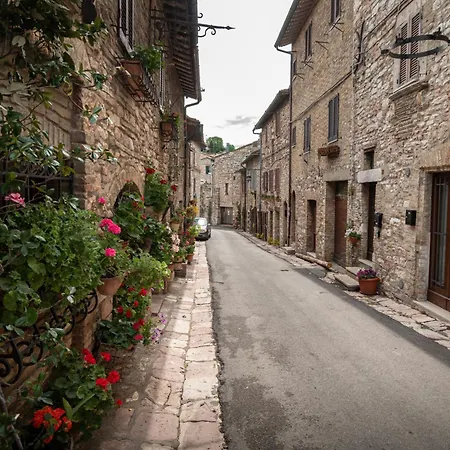 Gli Archiccioli *